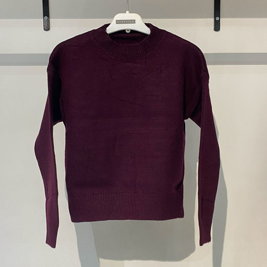 بافت زنانه ساده بادمجانی Fall 74