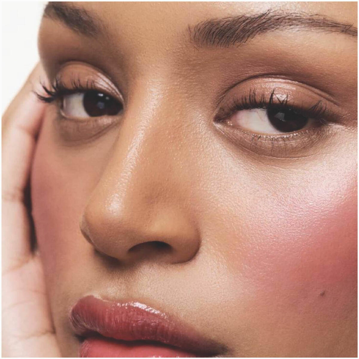 رژگونه استیکی رود (Rhode)