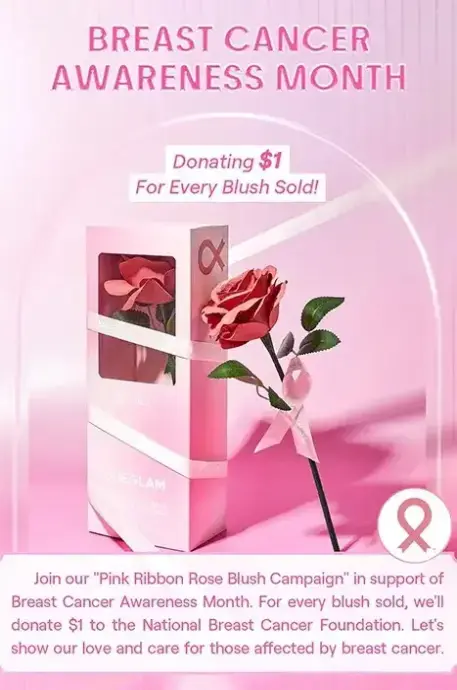 رژ گونه گل رز شیگلم (sheglam)